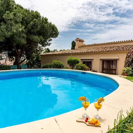 Villa Art Gallery House